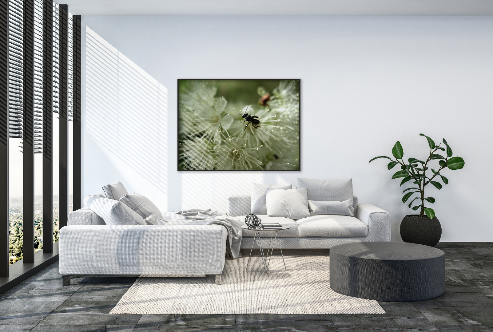 Austroplebeia  original abstract contextualised office art modern decor photo print by Blair Montague Drake